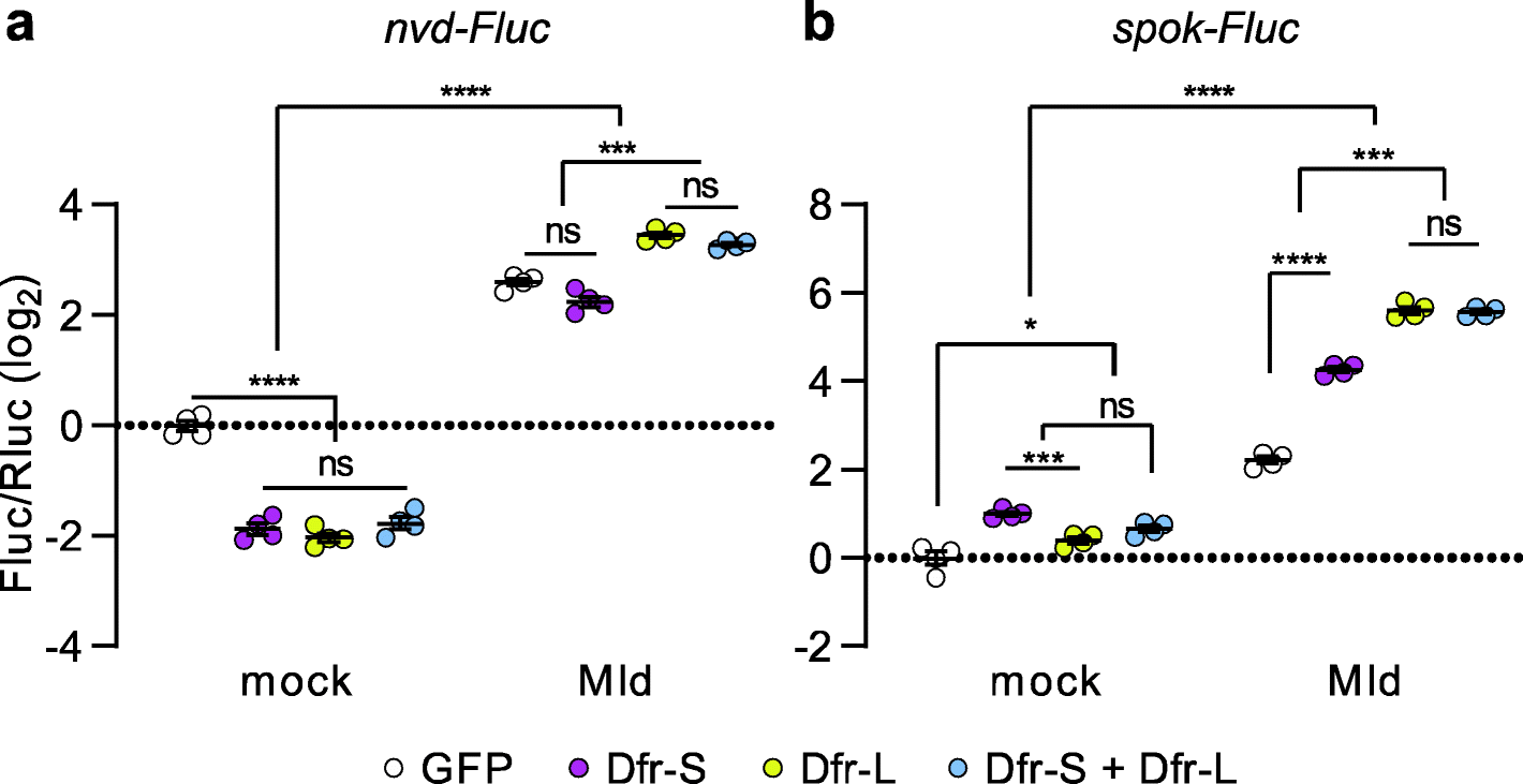 Fig. 9