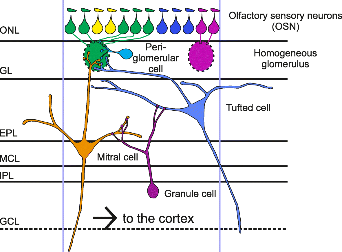 Fig. 5