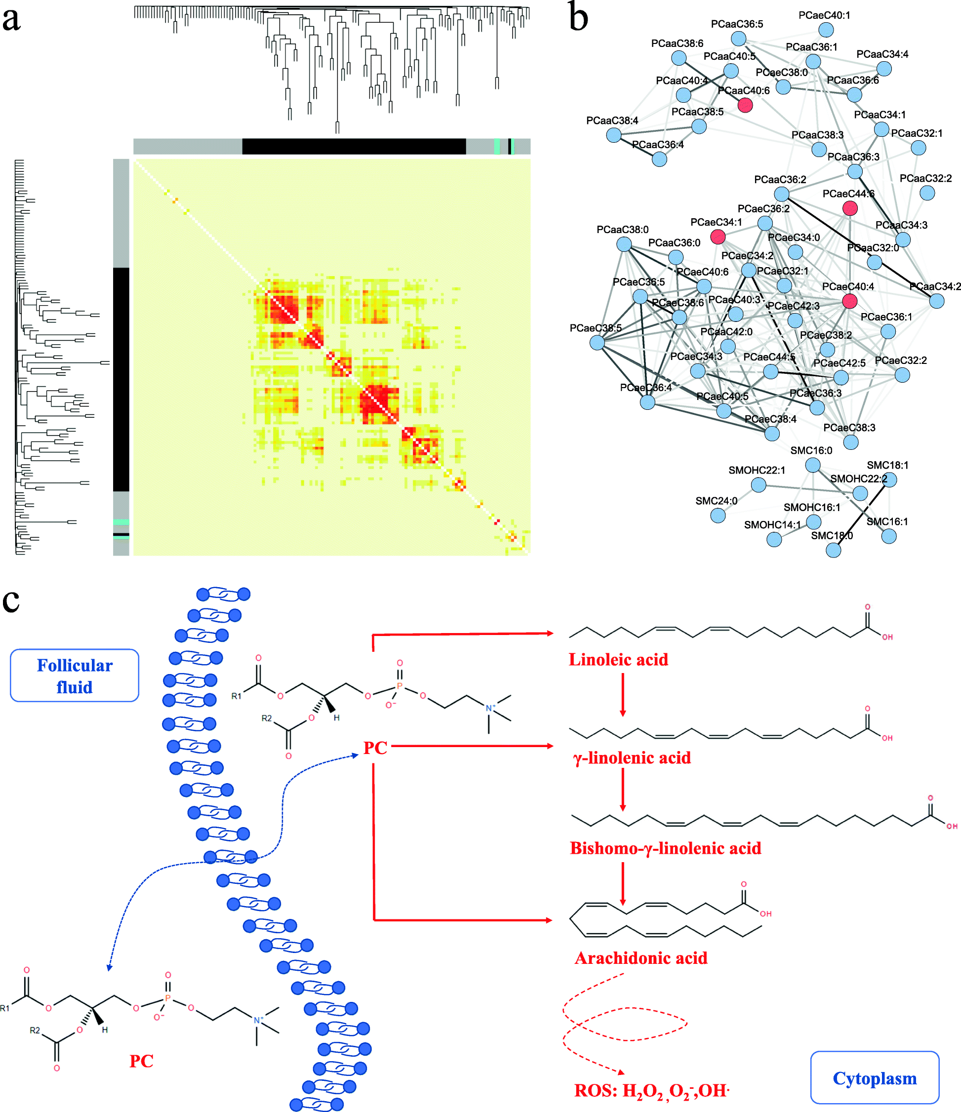 Fig. 5