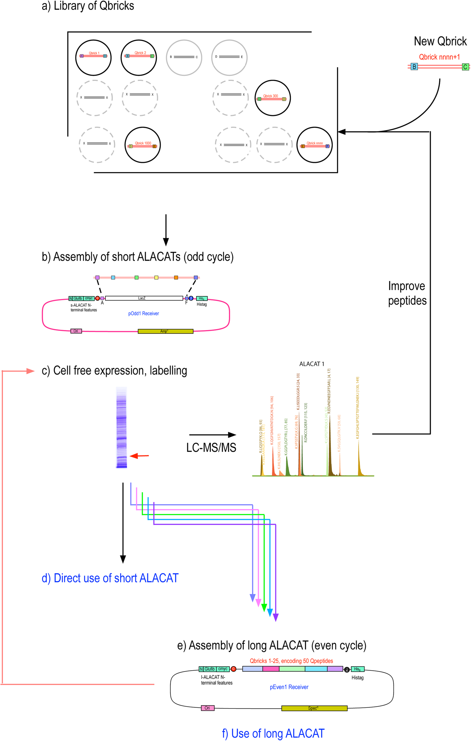 Fig. 6