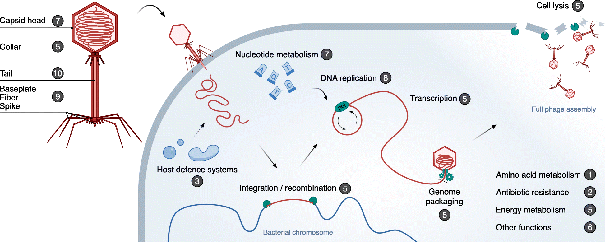 Fig. 4