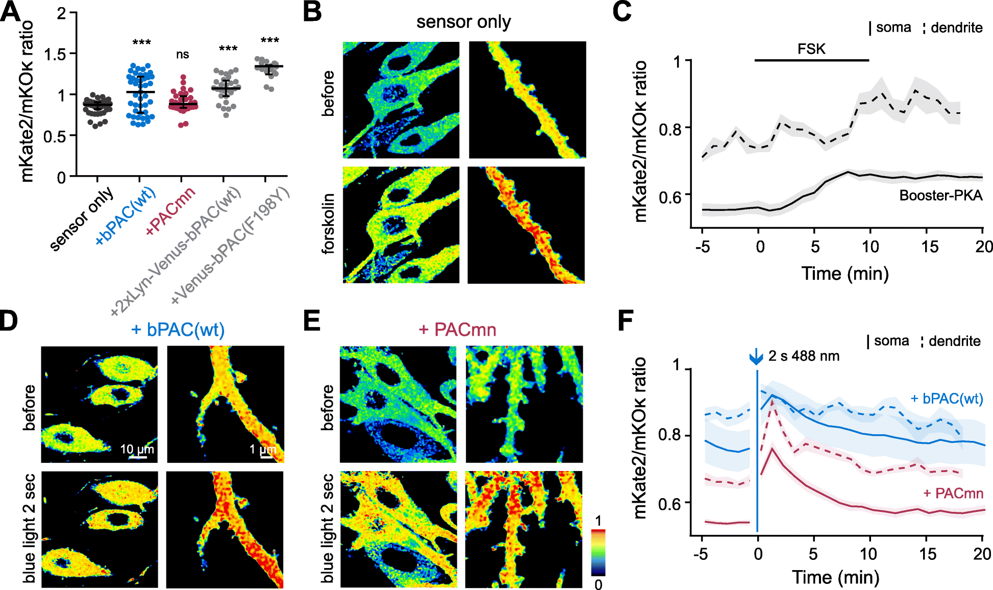 Fig. 6