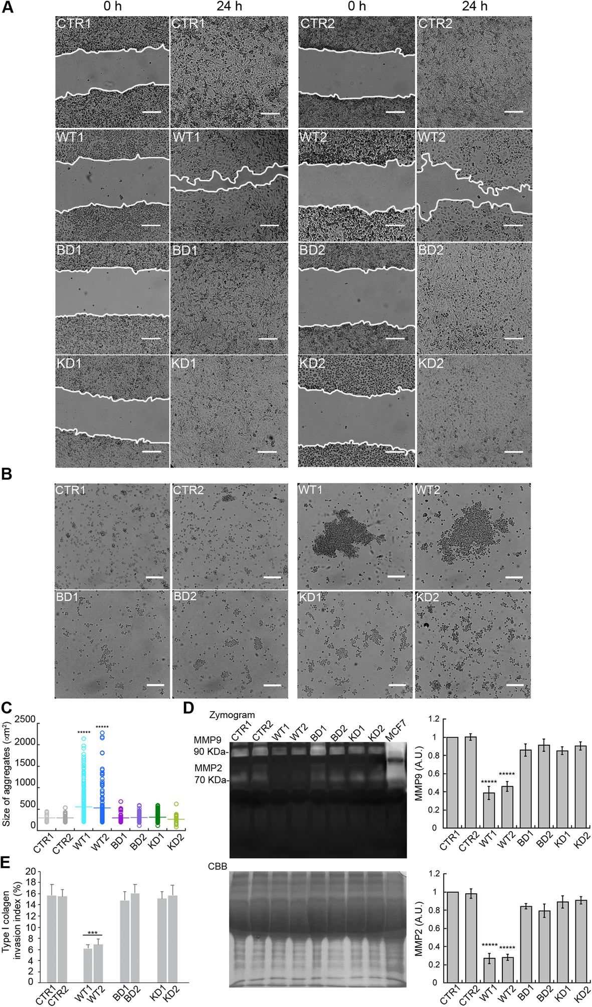 Fig. 7