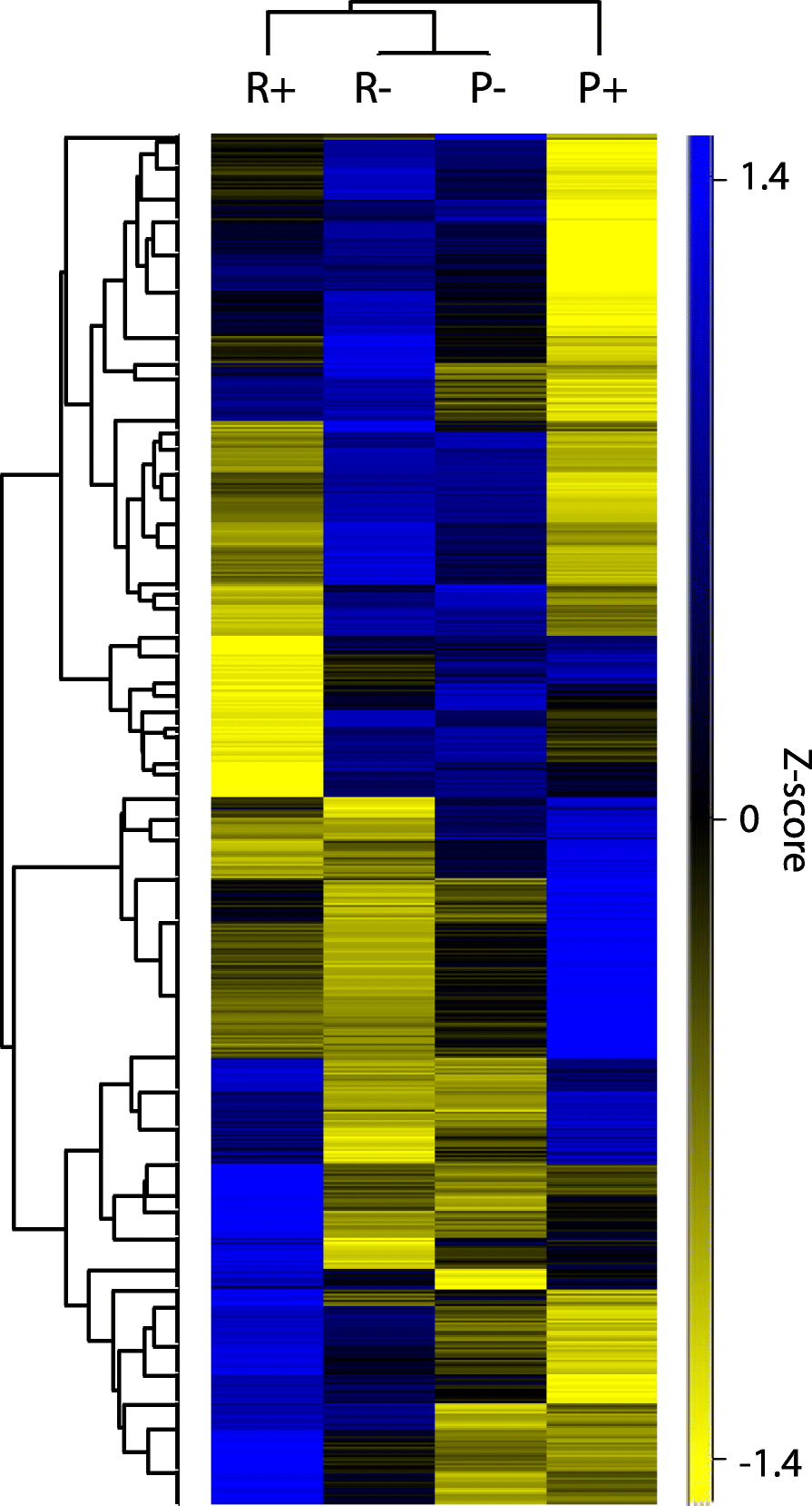 Fig. 2