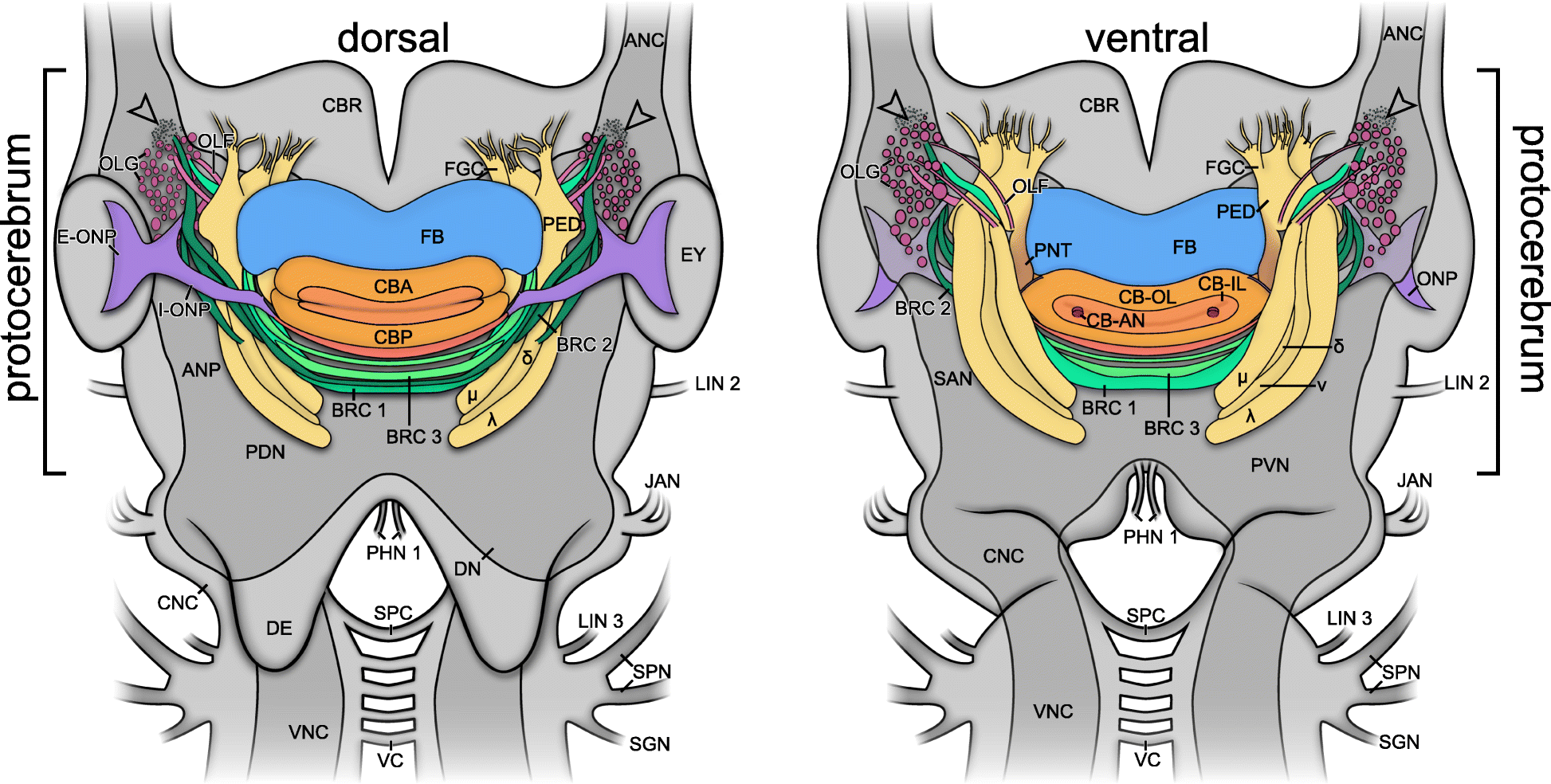 Fig. 13