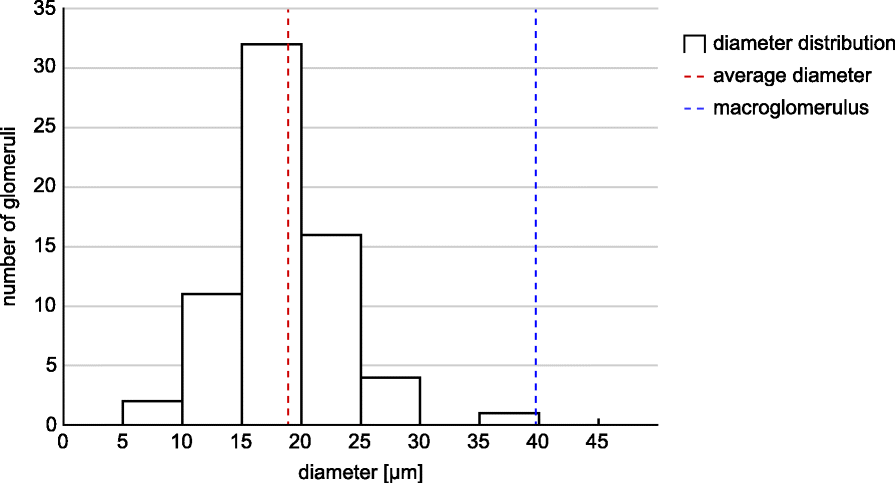 Fig. 9