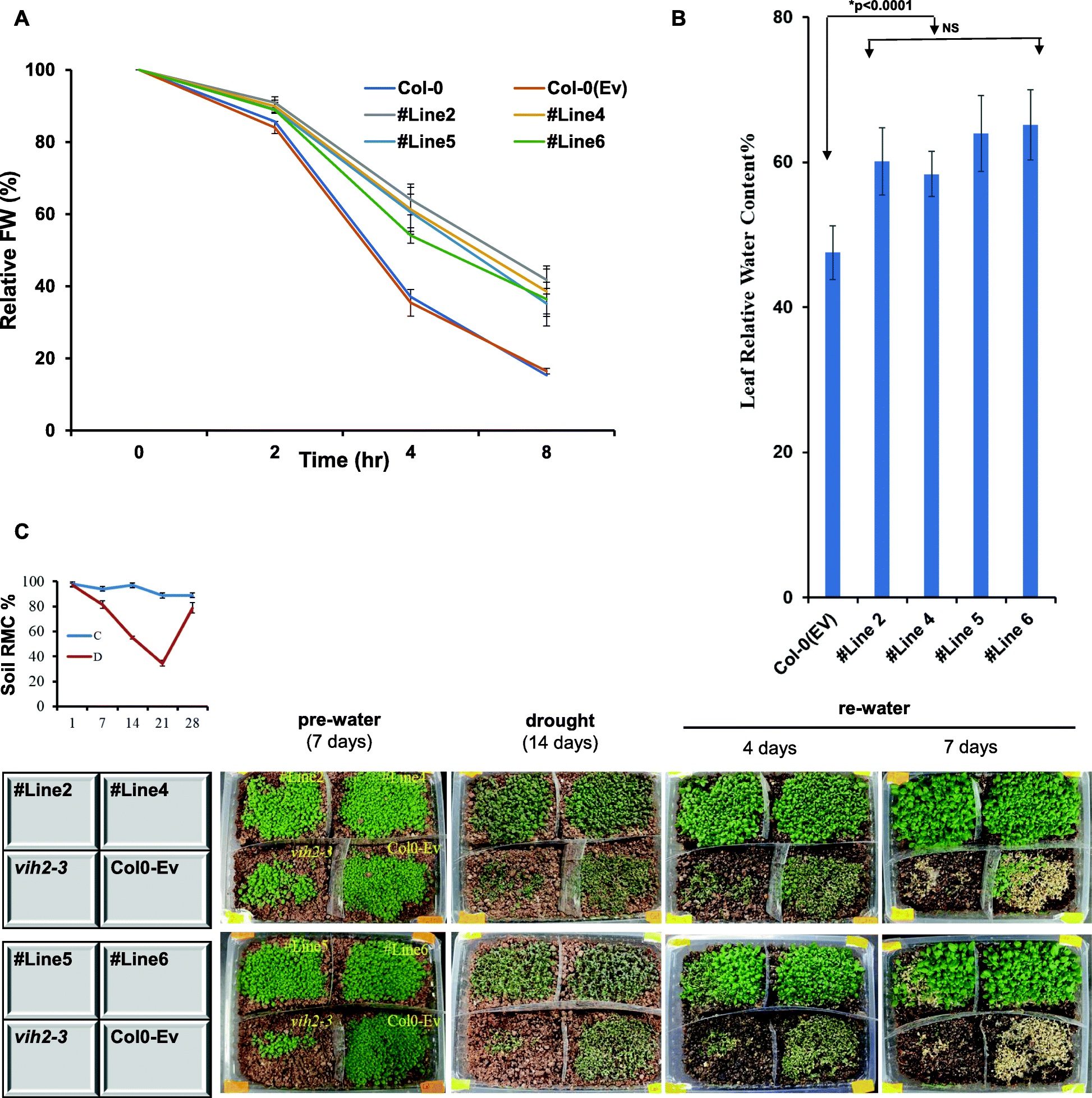 Fig. 7