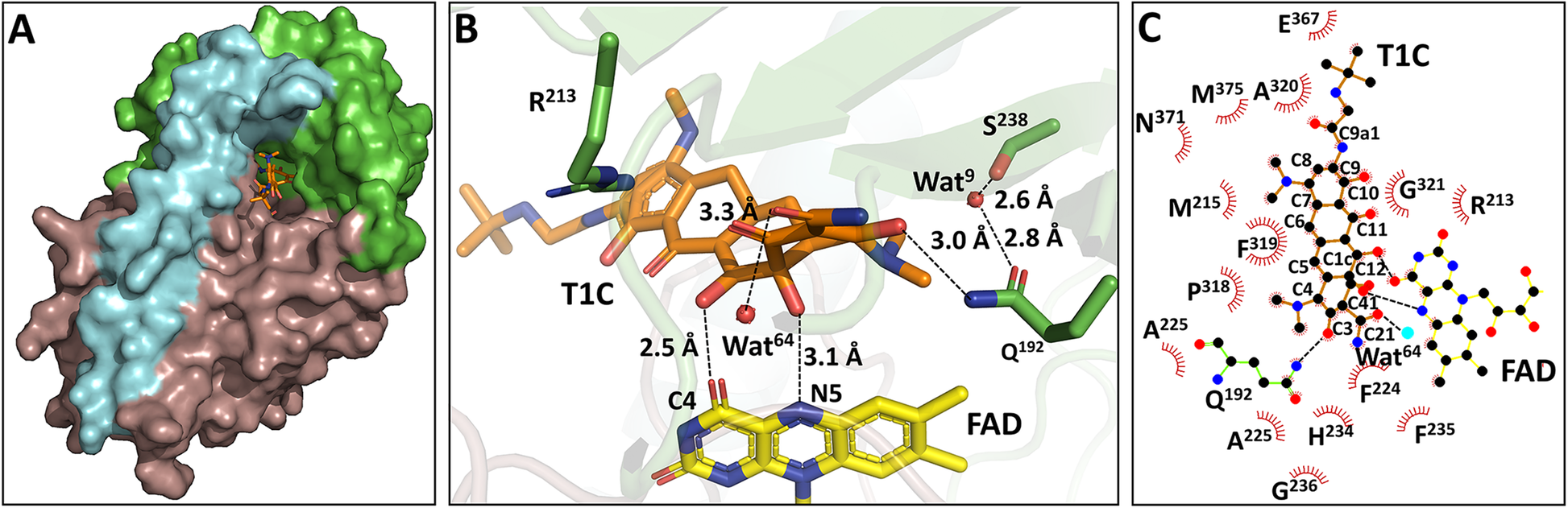 Fig. 3.