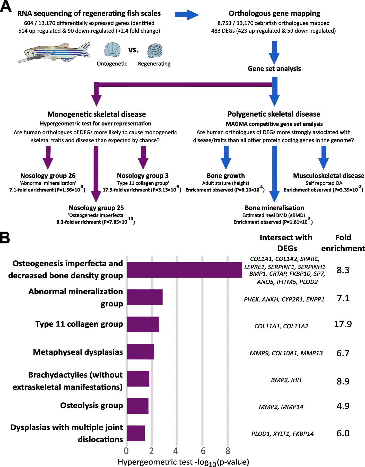 Fig. 7