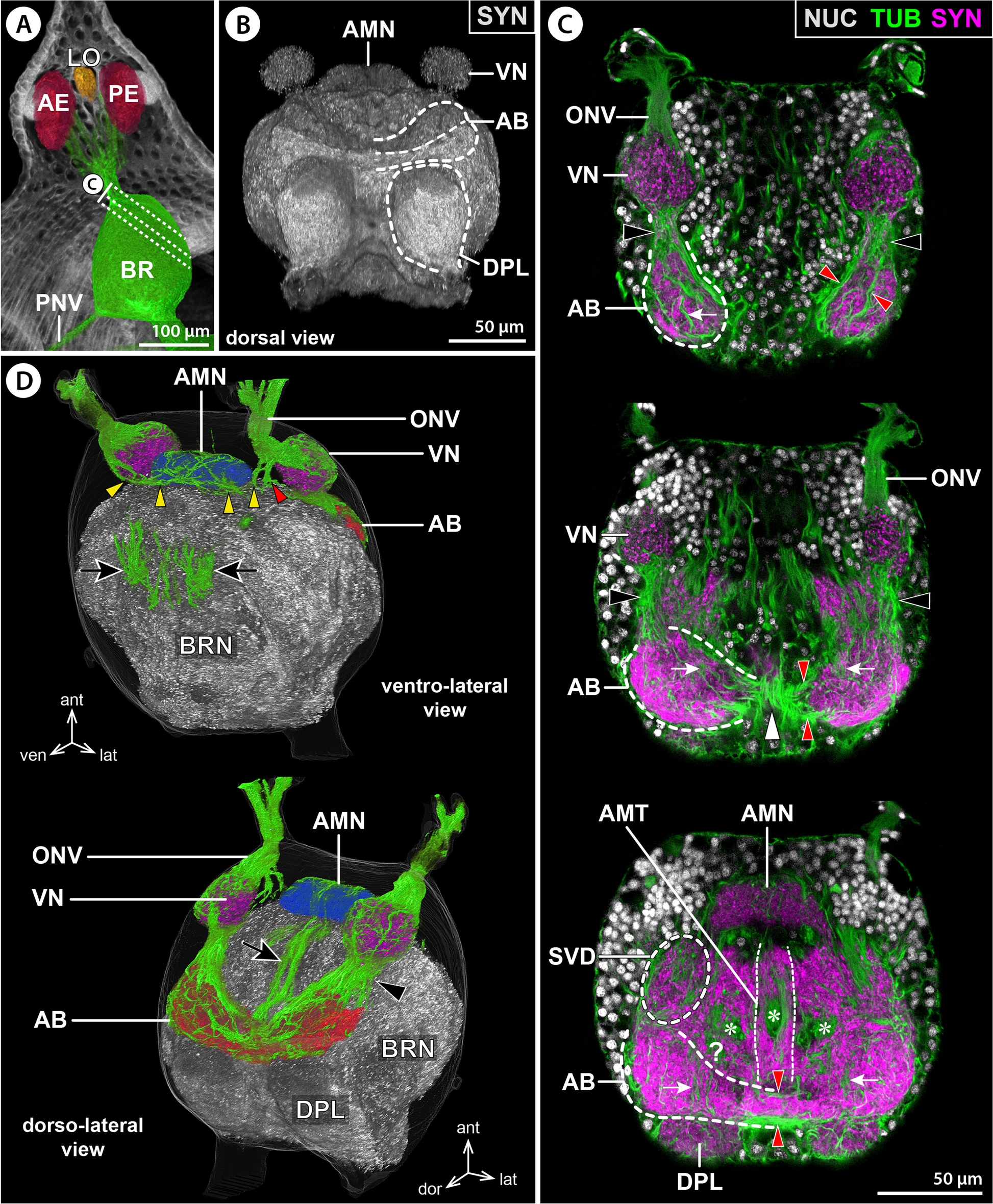 Fig. 4