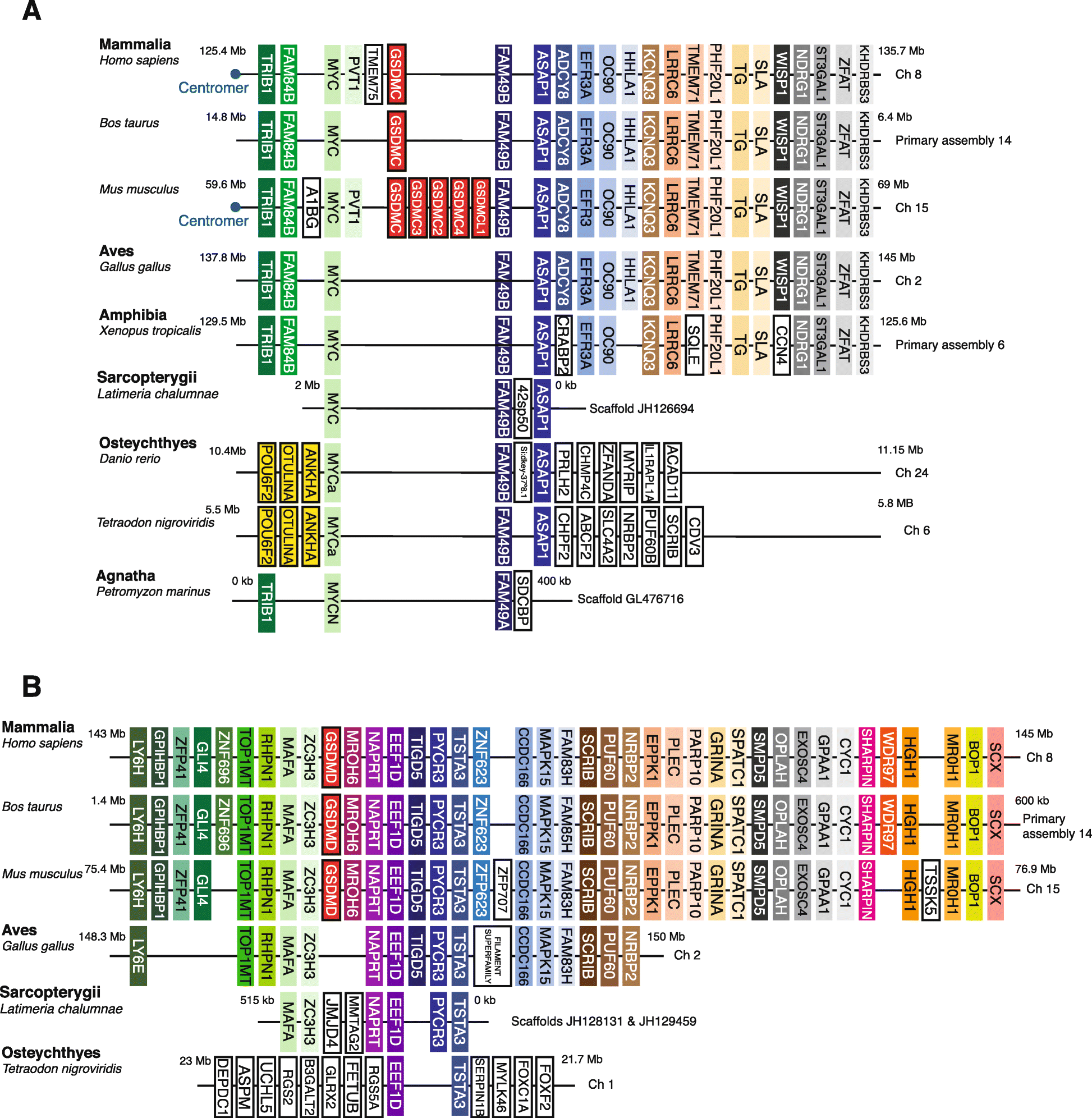 Fig. 4