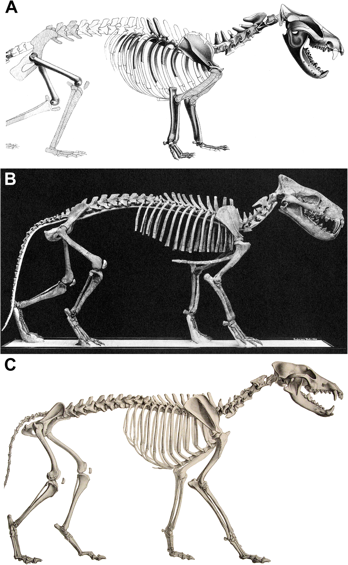 Fig. 1