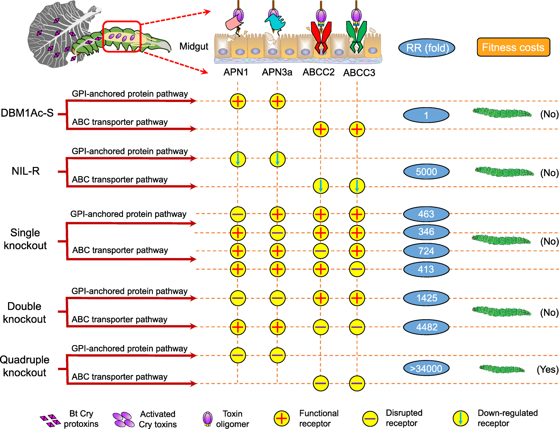 Fig. 6