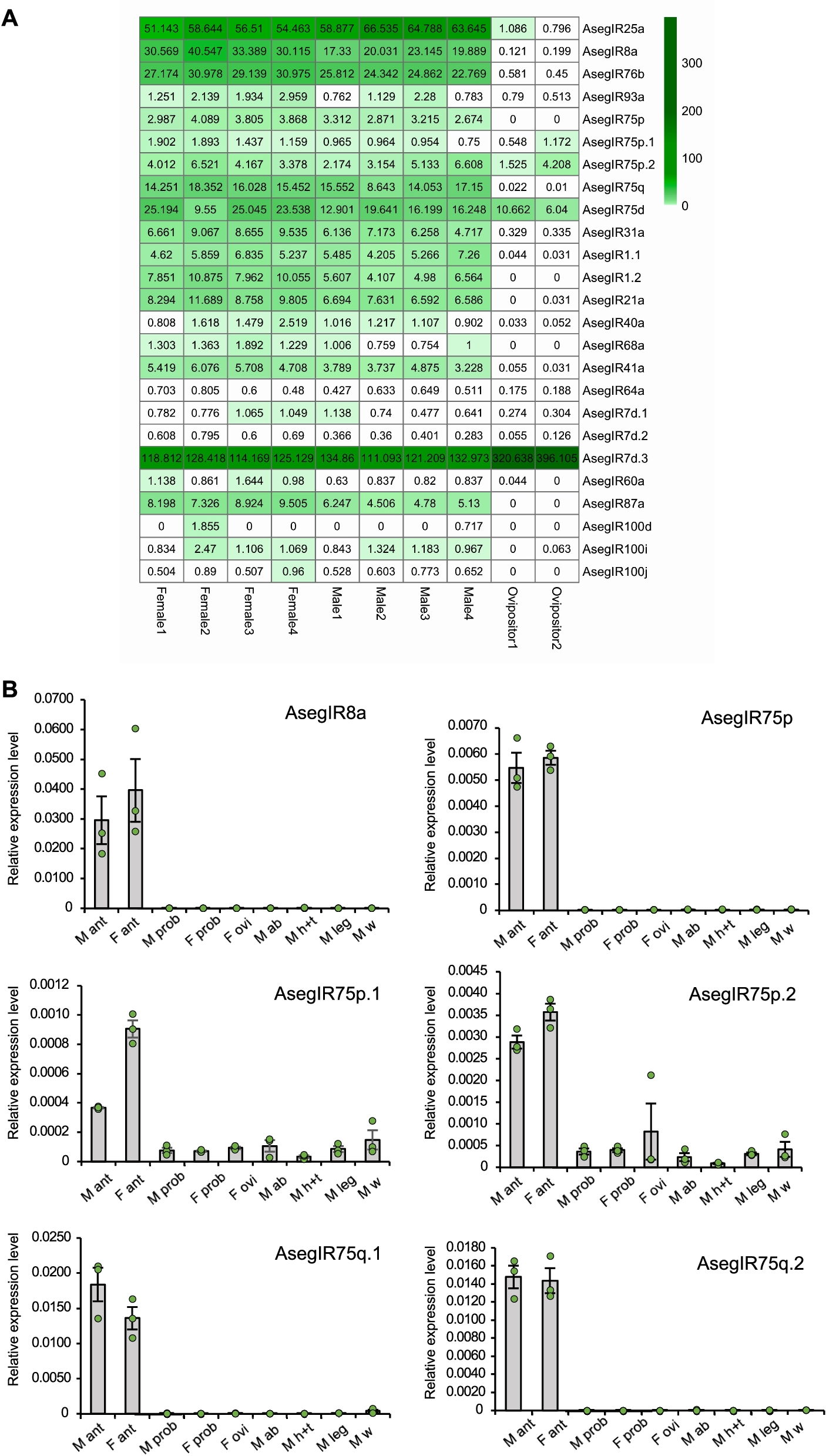 Fig. 2