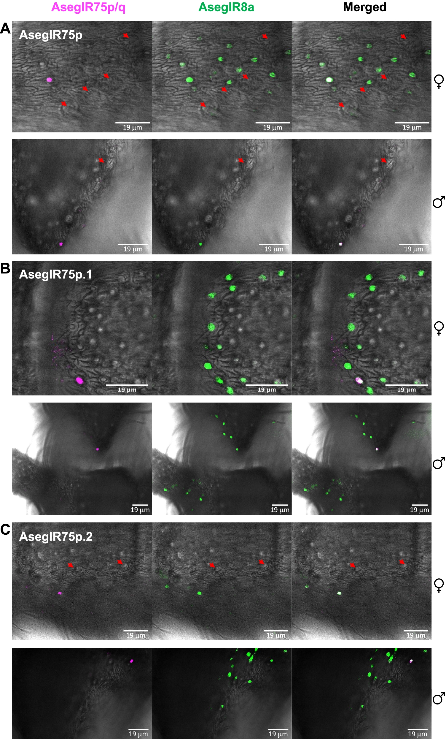 ﻿Fig. 4