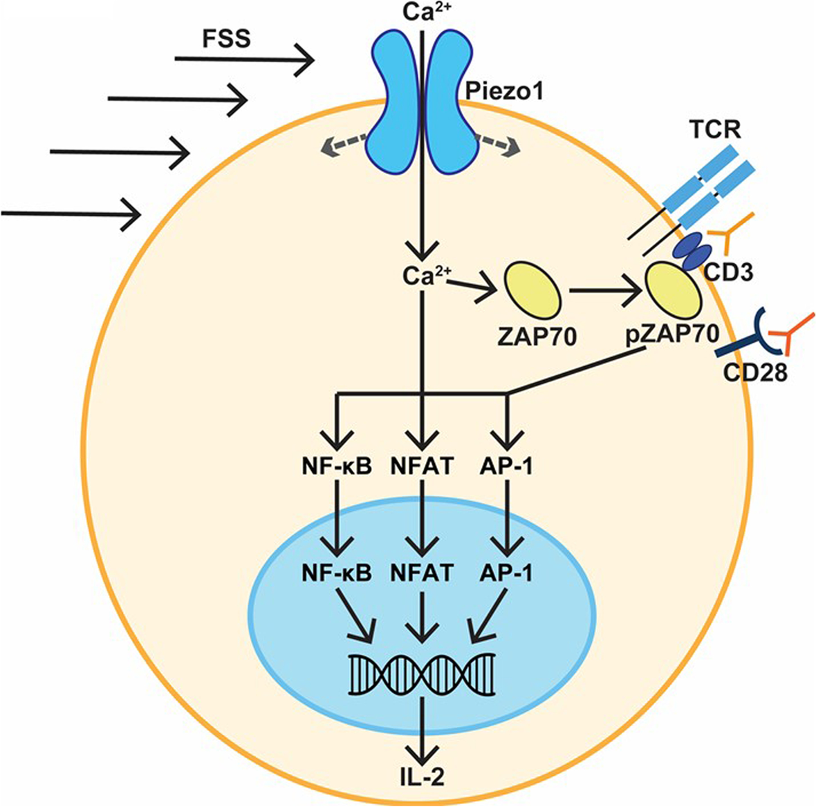 Fig. 6