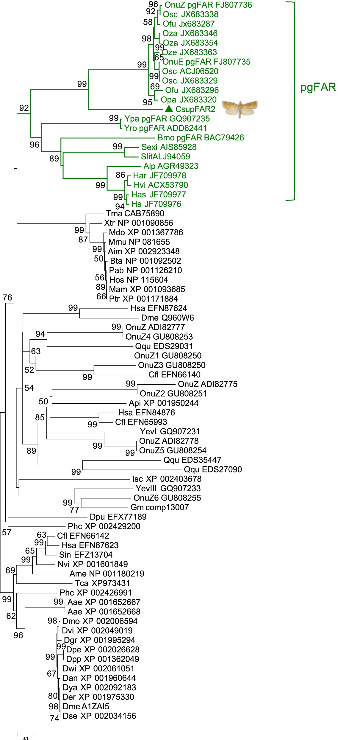 Fig. 4