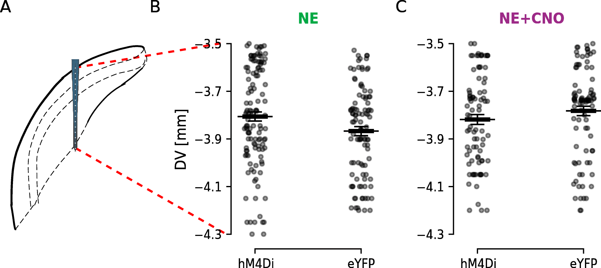 Fig. 8.