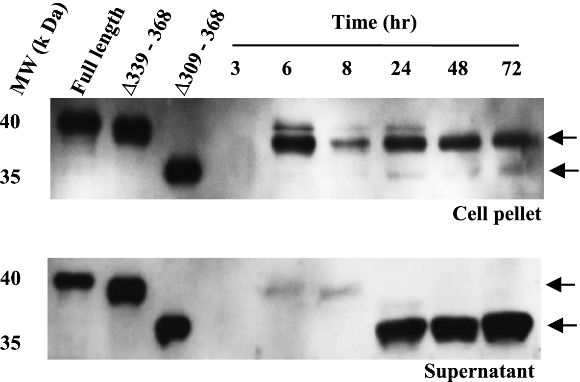 Fig. 10