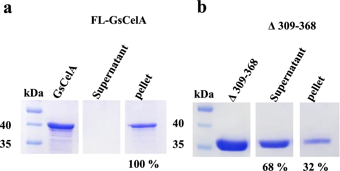 Fig. 11