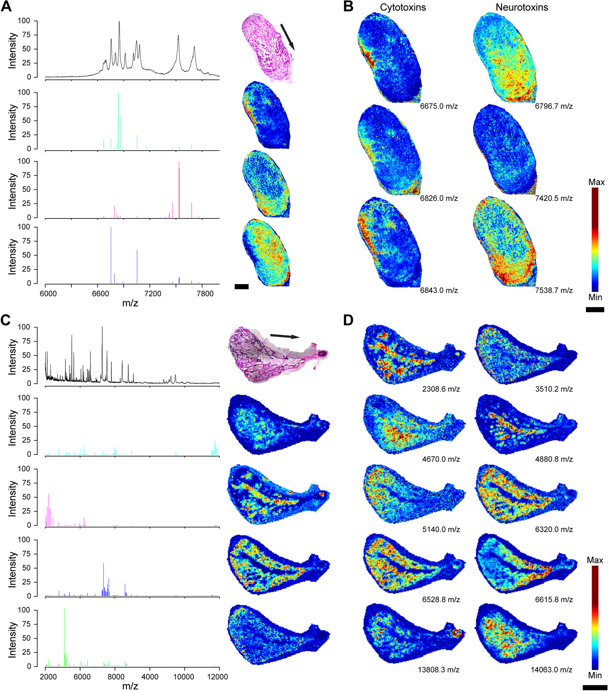 Fig. 3