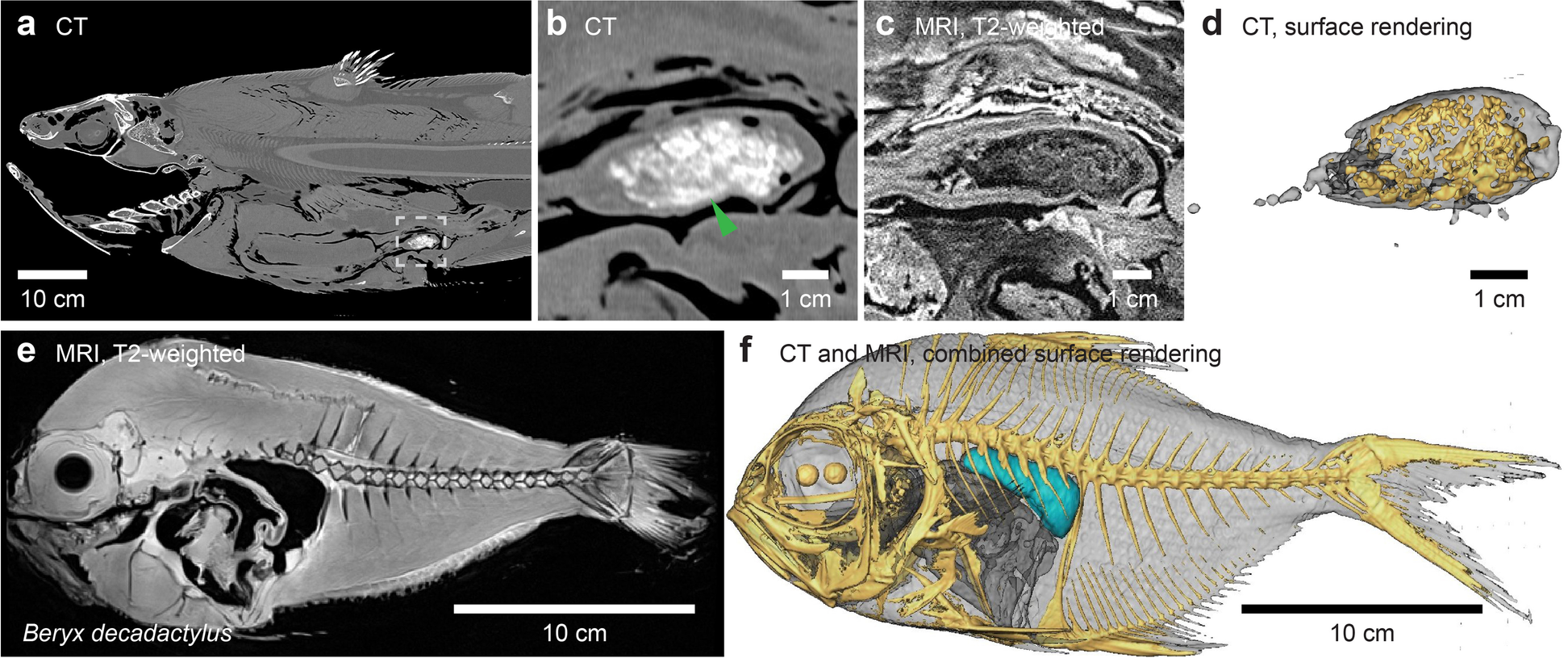 Fig. 6