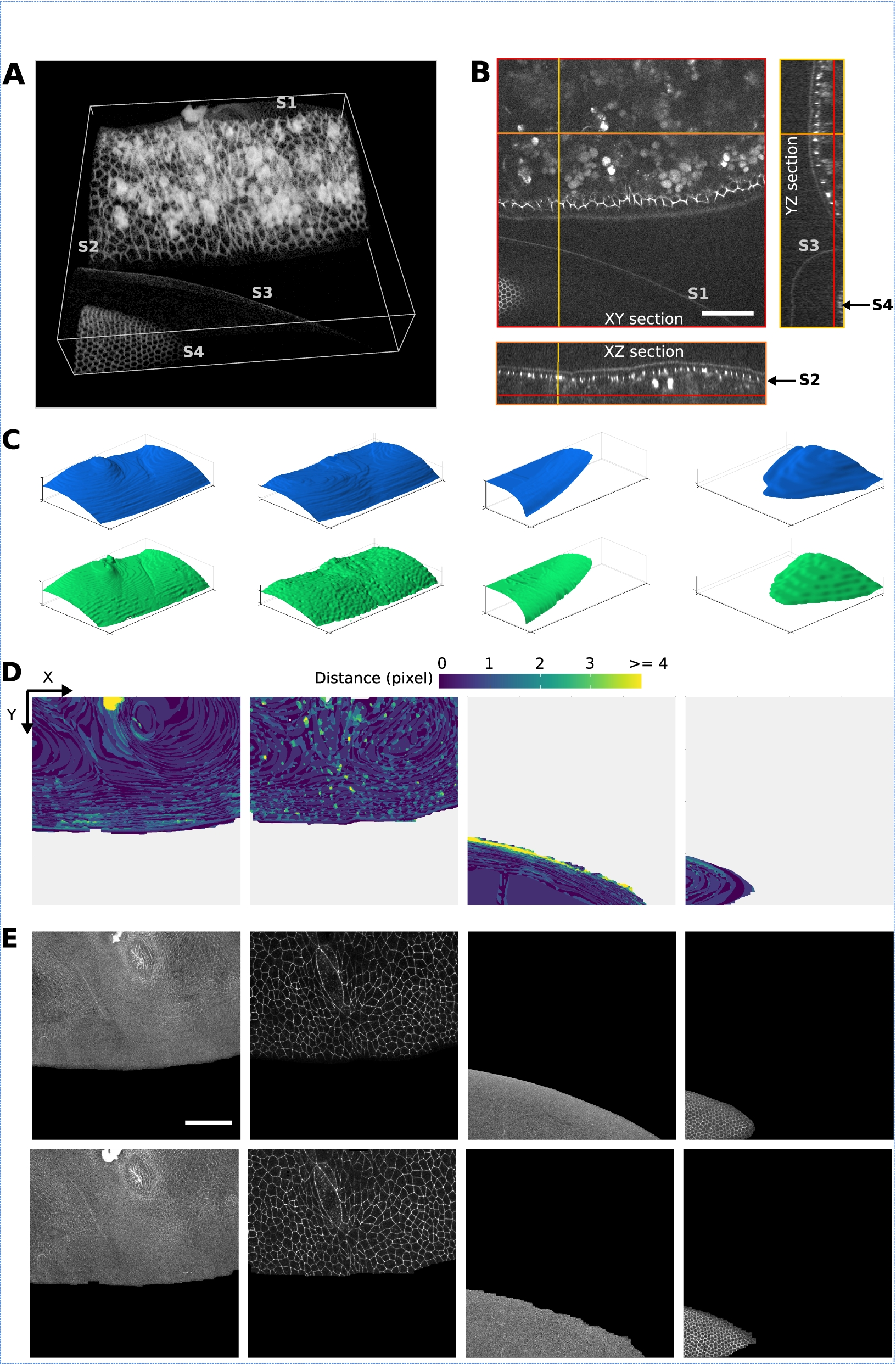 Fig. 3