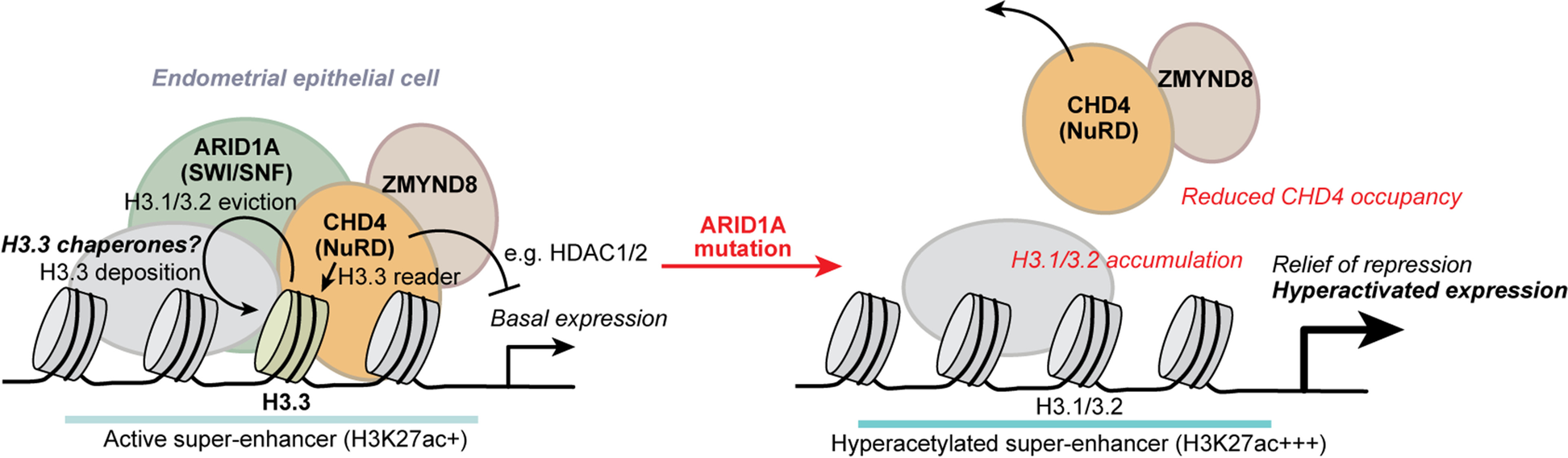 Fig. 9