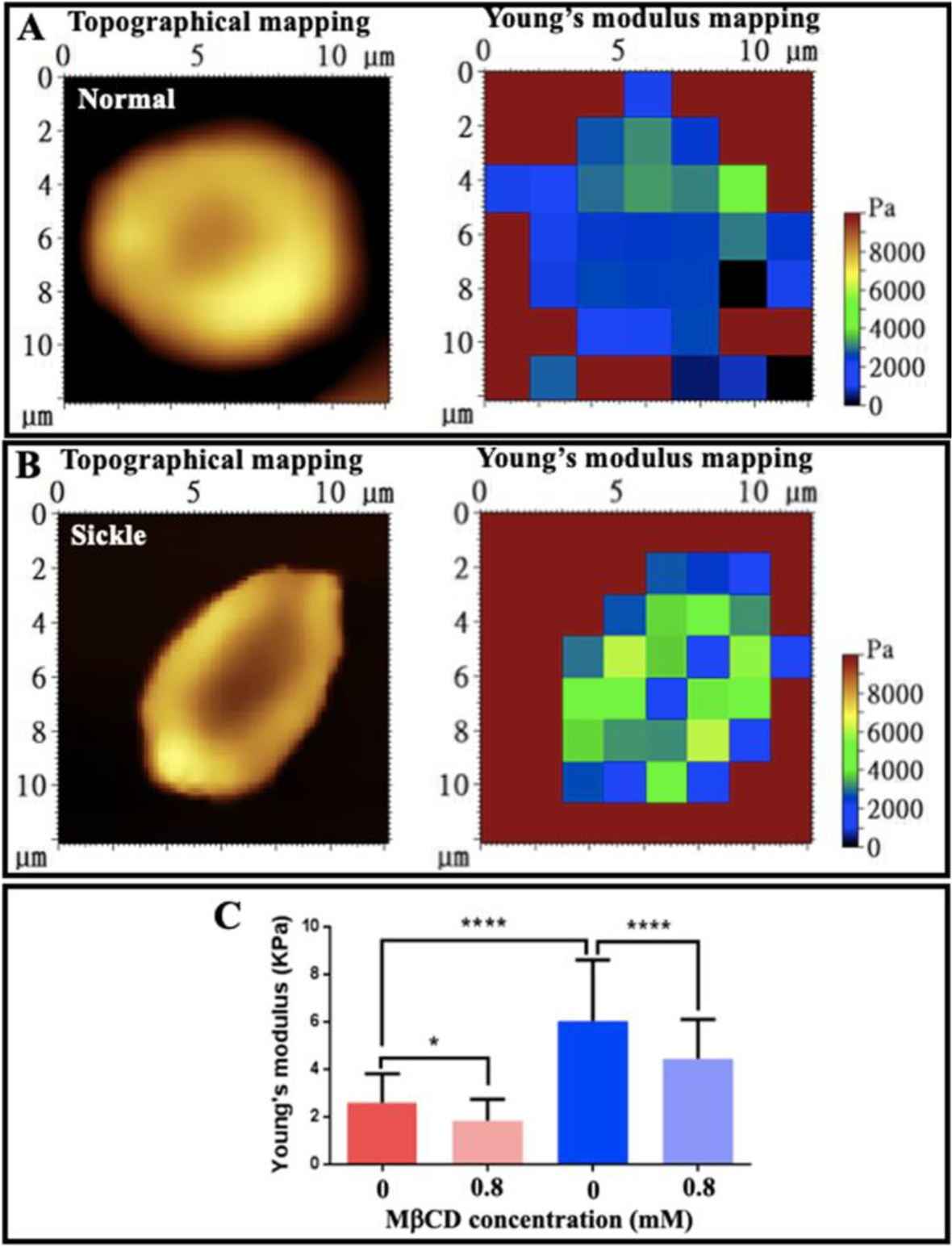 Fig. 10