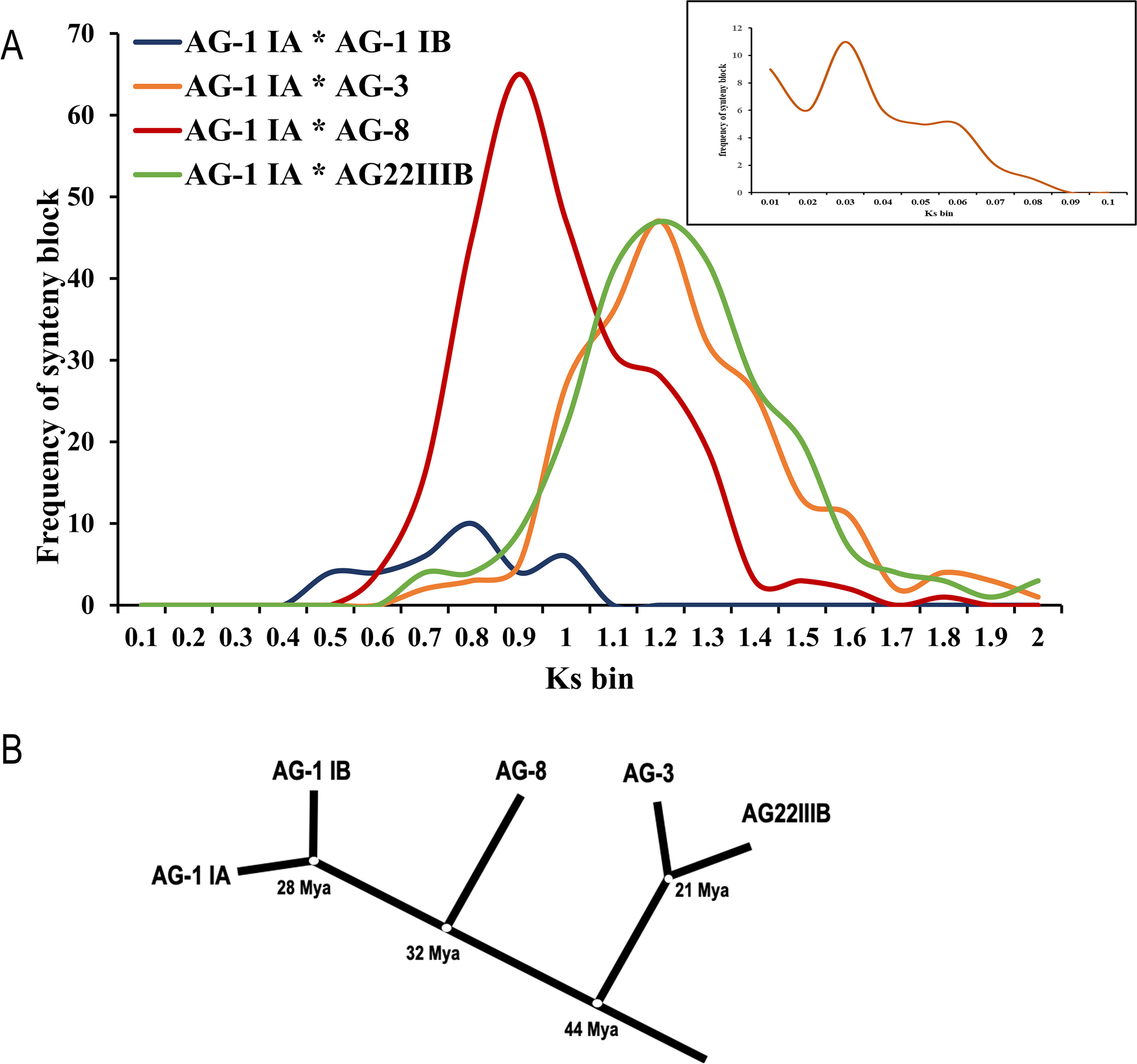 Fig. 2