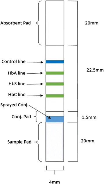 Fig. 2