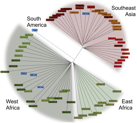 Fig. 4