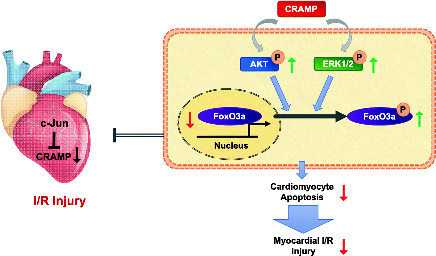 Fig. 9