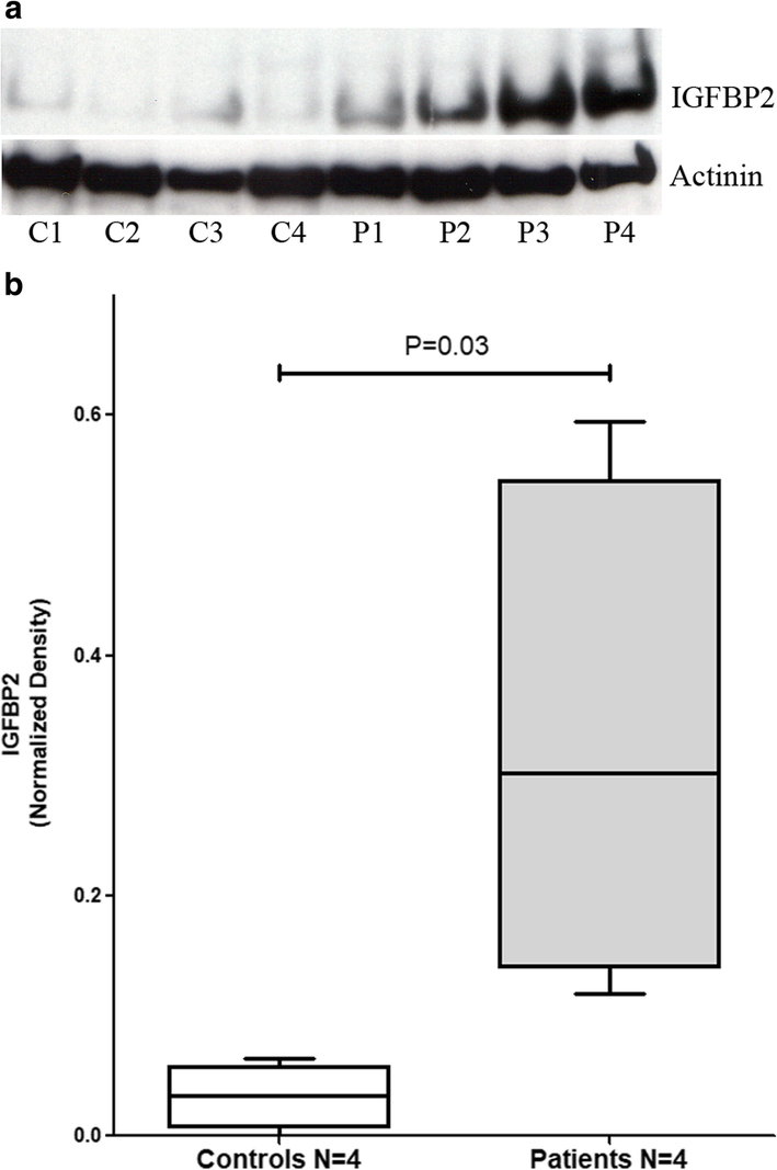 Fig. 5