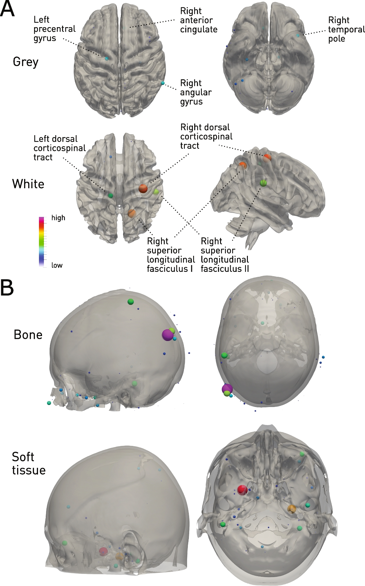 Fig. 7