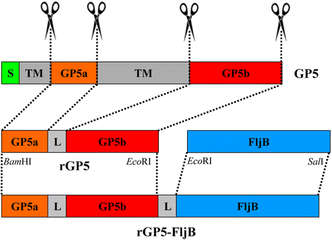 Fig. 1