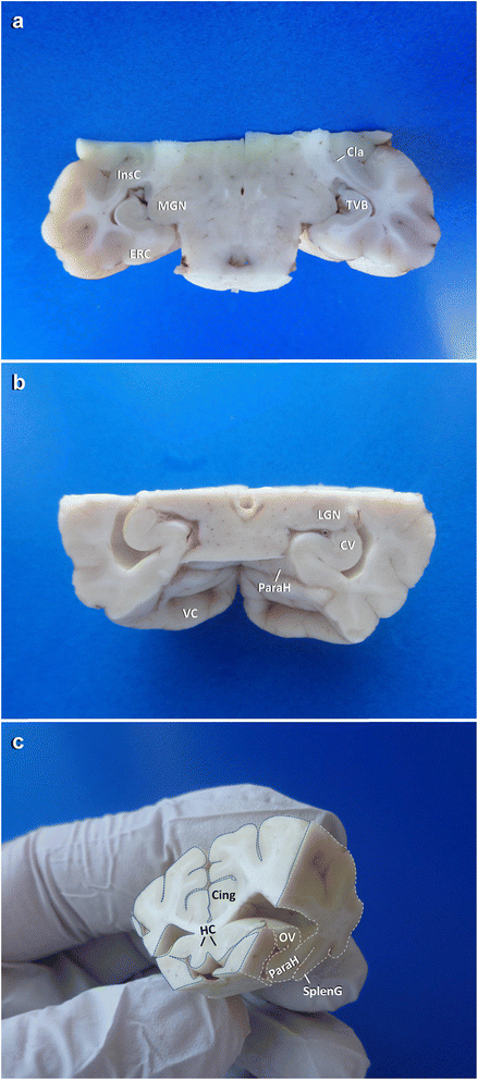 Fig. 10