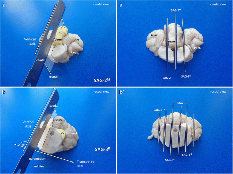 Fig. 16