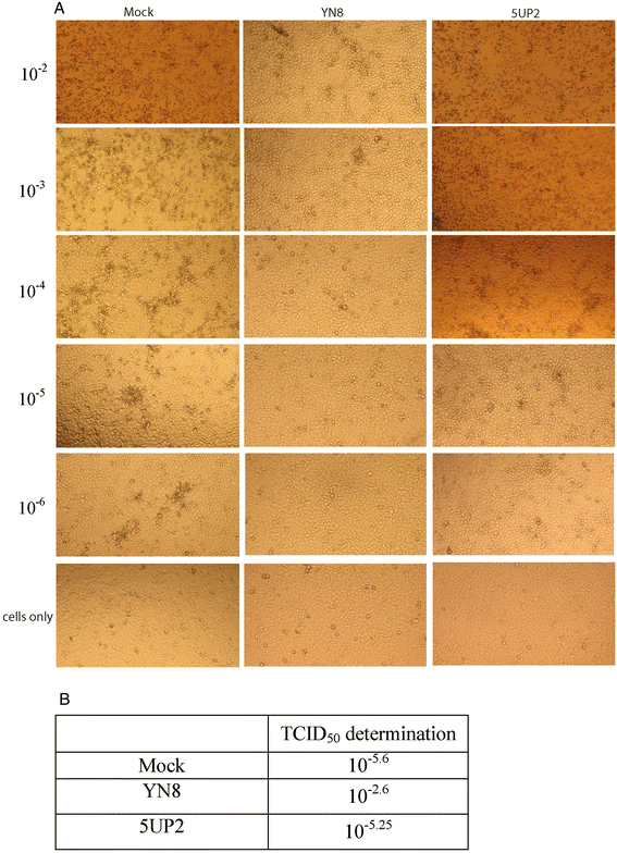 Fig. 5