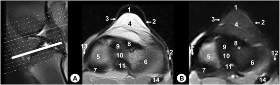 Fig. 10