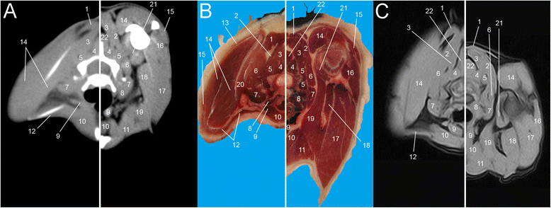 Fig. 3