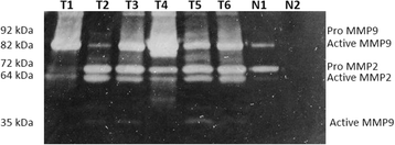 Fig. 10