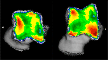 Fig. 3