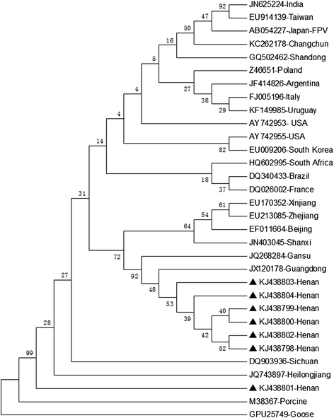 Fig. 4