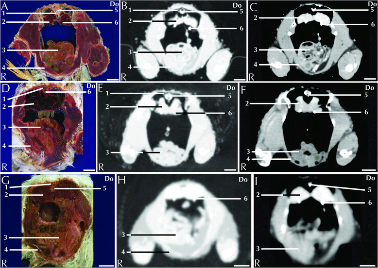 Fig. 5