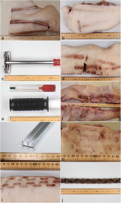 Fig. 2