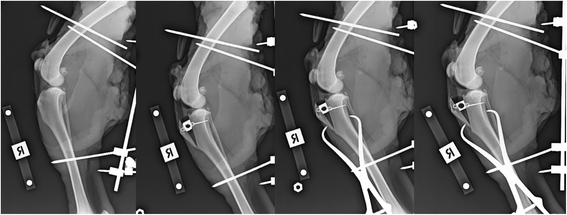 Fig. 5