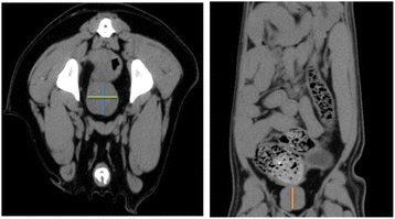 Fig.1