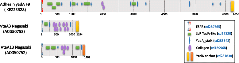 Fig. 2