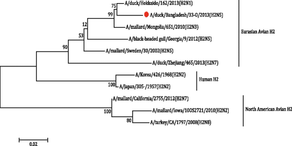 Fig. 5